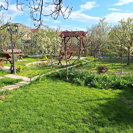 Trend Bed & Breakfast Arad Exterior photo