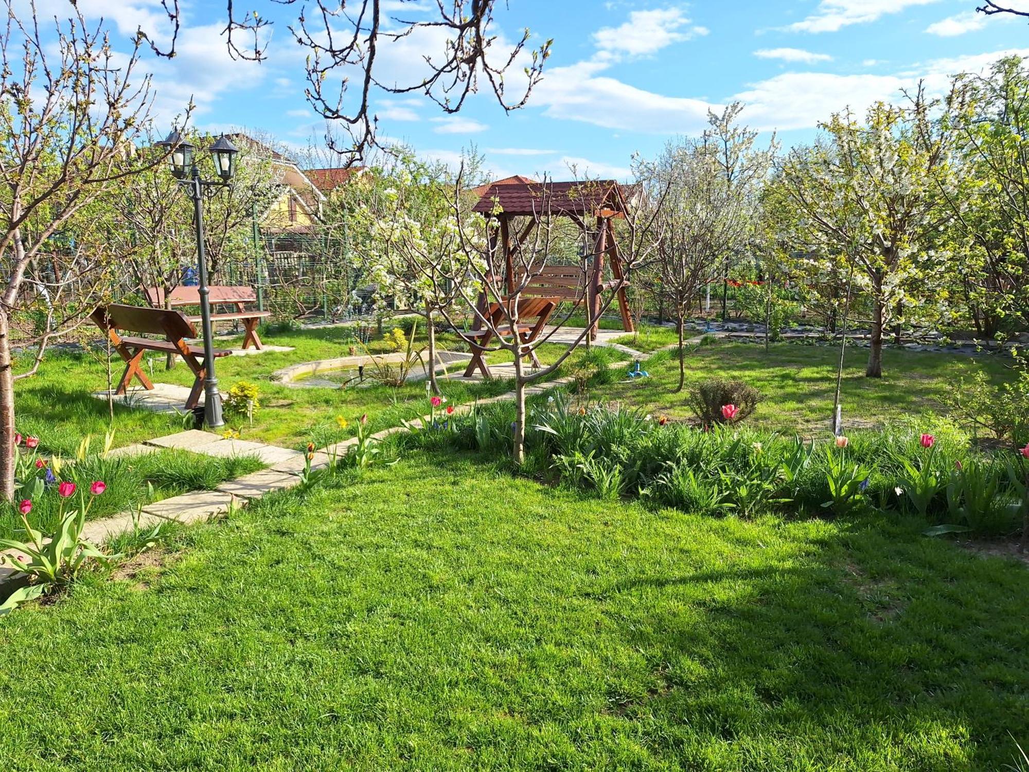 Trend Bed & Breakfast Arad Exterior photo